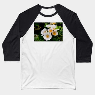 English Wild Flowers - Dog Rose Baseball T-Shirt